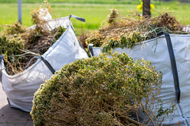Best Same-Day Junk Removal  in Cherry Grove, OH